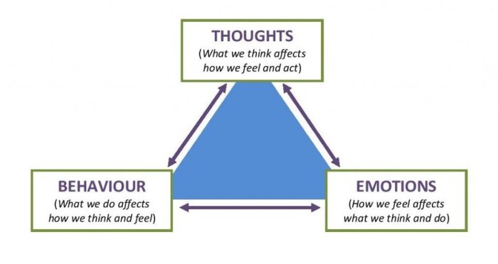 Identify true statements about social cognitive psychologists.