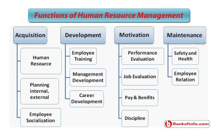 Human resource management functions applications and skill development