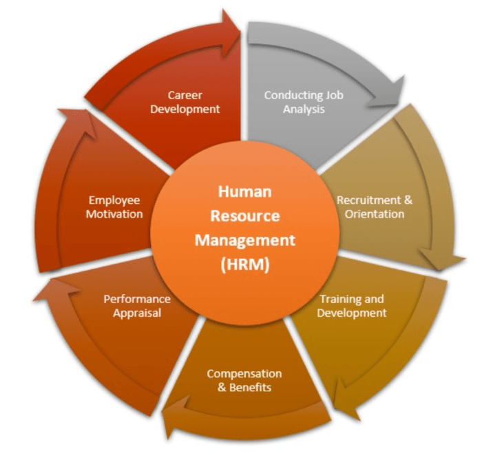 Human resource management functions applications and skill development