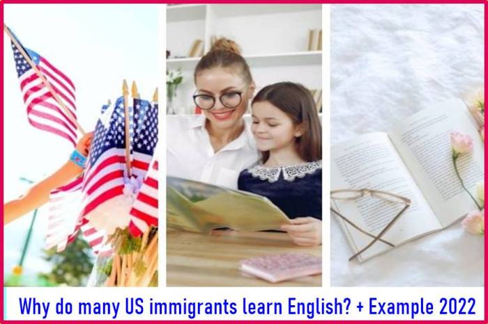 Why do many us immigrants learn english apex