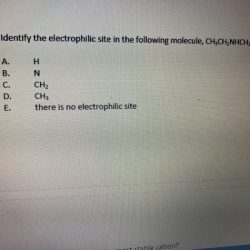 Nucleophilic electrophilic site sites whether specified following each neither molecules indicate label appropriate dragging pointing box show solved