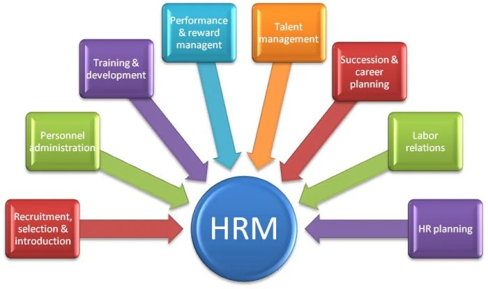 Human resource management functions applications and skill development